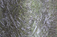 Rossett Green fibreglass roof work